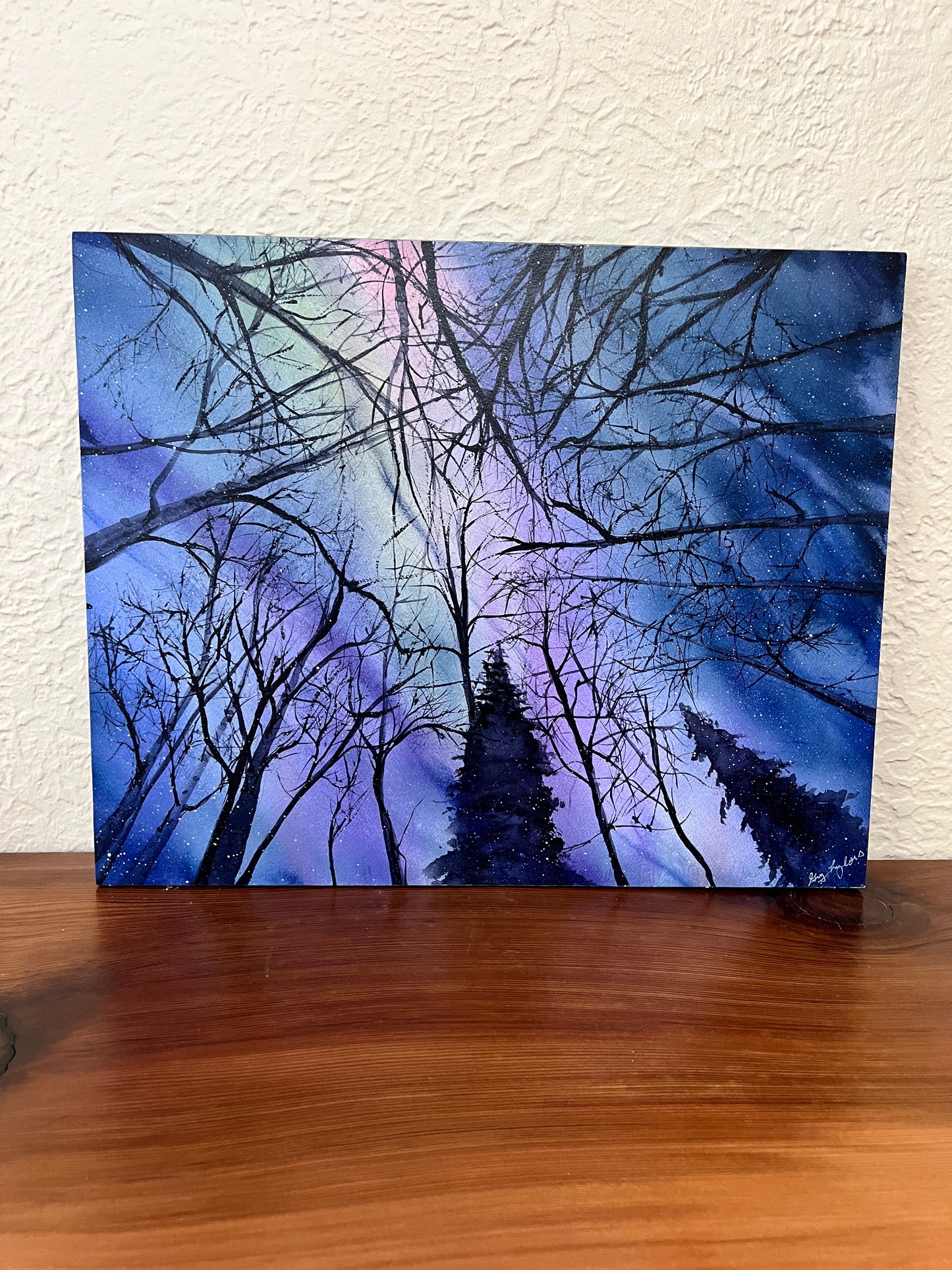 Peace in the Forest