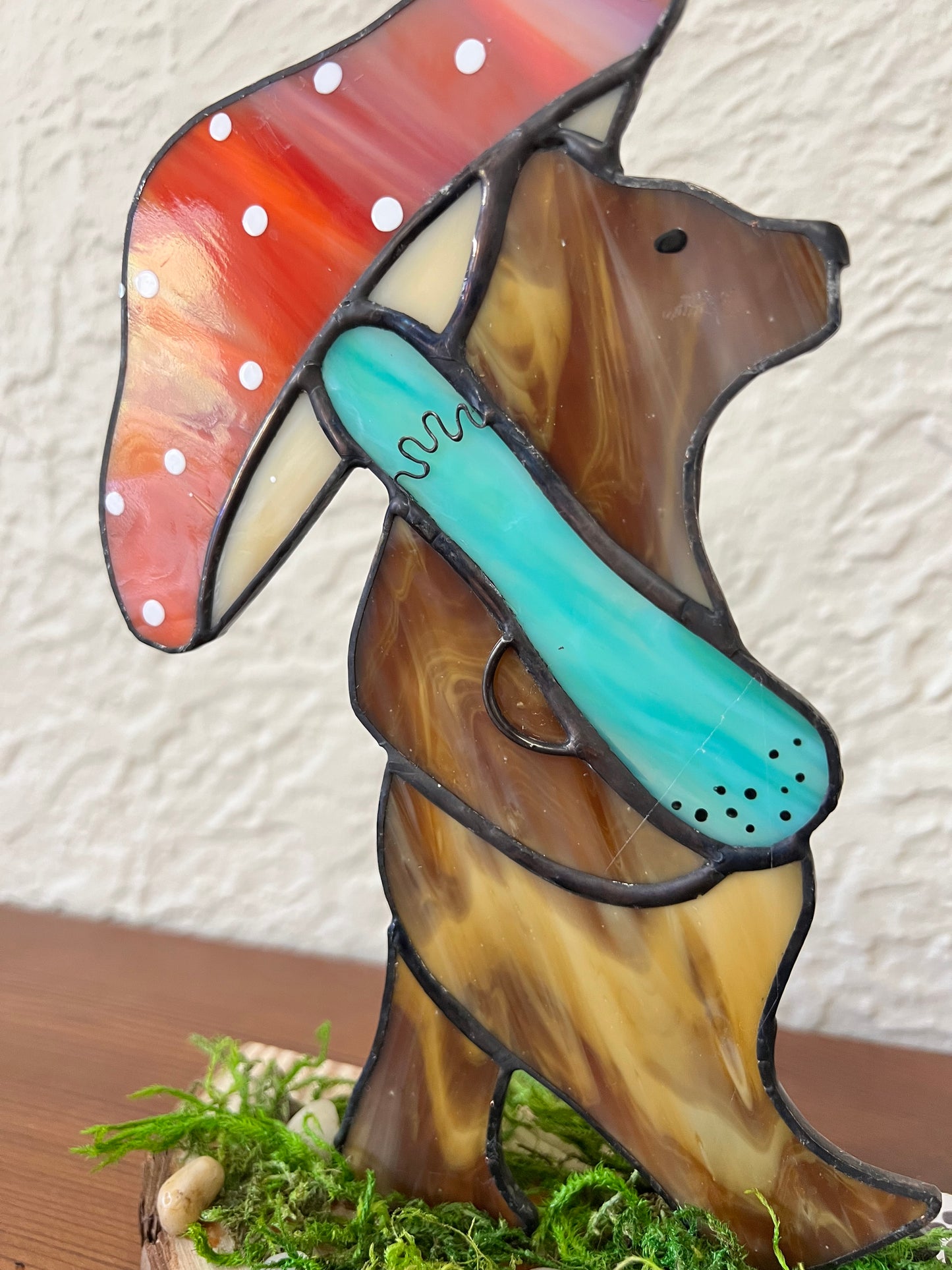 Salmon Bear