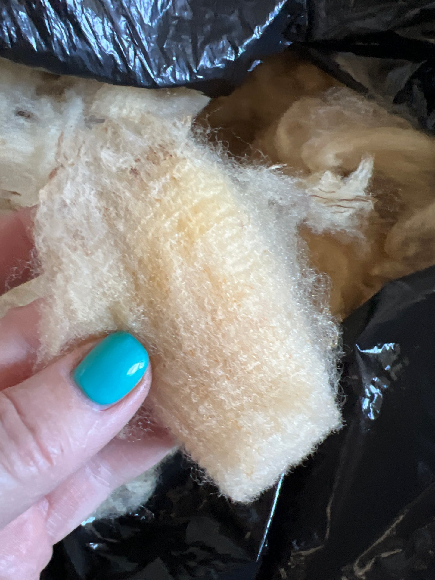 Raw Fleece - Mixed Breeed perfect for felting