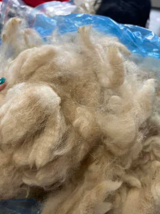 Alpaca Fibre - unwashed 1.20kg