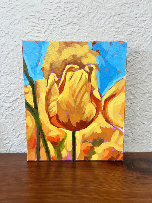Yellow Tulip