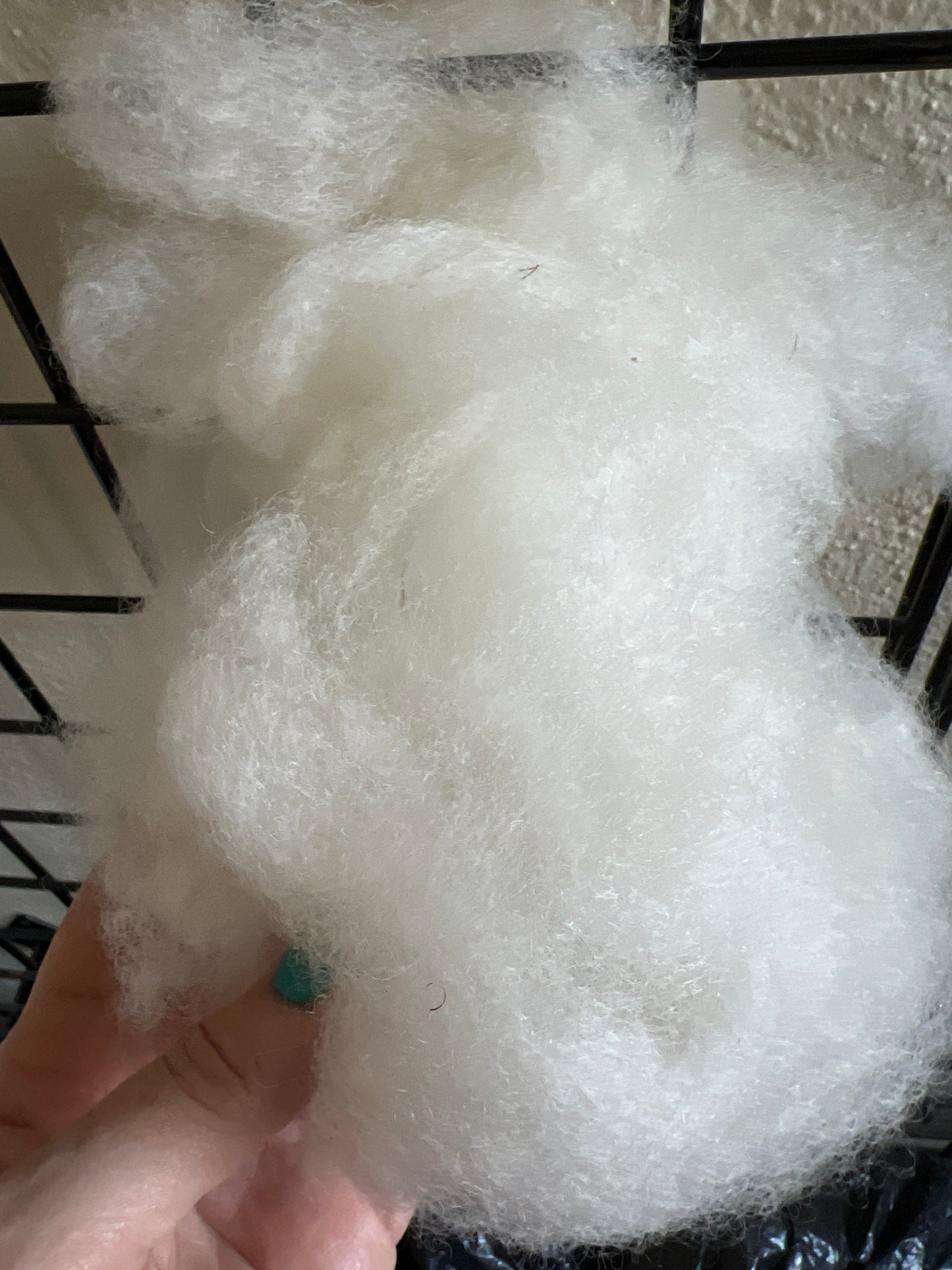 Raw Fleece - Mixed Breeed perfect for felting