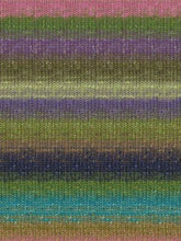 Load image into Gallery viewer, Noro Sock Yarn Colour 276
